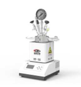 HT款一鍵快開磁子攪拌實驗室微型反應釜樣圖